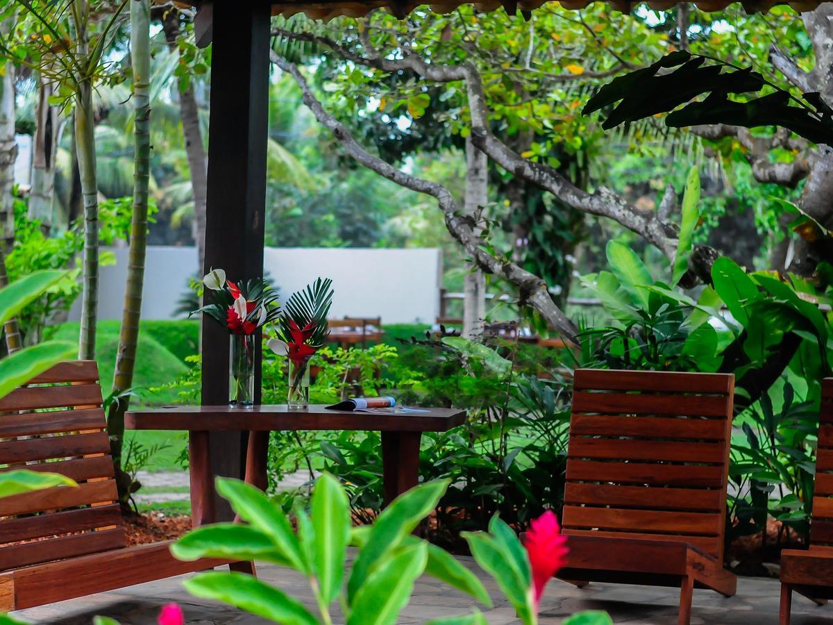Htl Terra Mar Barra Grande Bed & Breakfast ภายนอก รูปภาพ